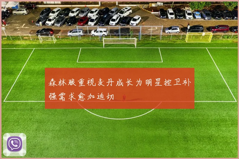 森林狼重视麦丹成长为明星控卫补强需求愈加迫切